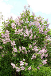 Similar image 662818