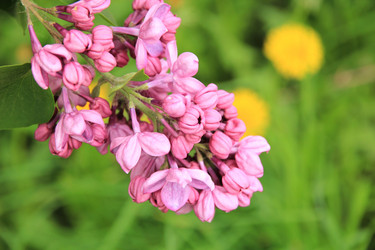 Similar image 662819