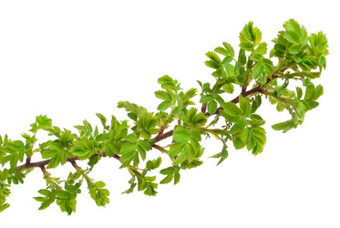 Similar image 662820