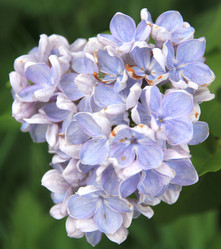 Similar image 662822