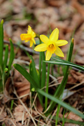 Similar image 662833