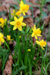 Similar image 662834