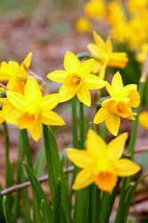 Similar image 662835