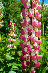 Similar image 662840