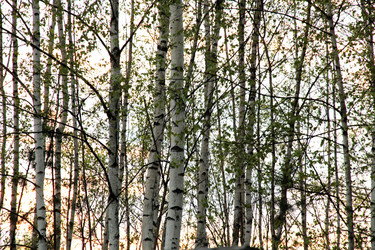 Similar image 662842