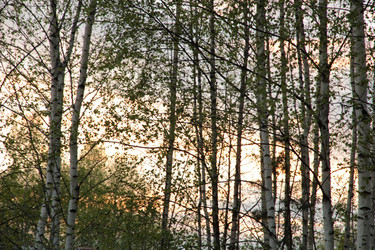 Similar image 662843