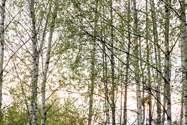 Similar image 662844