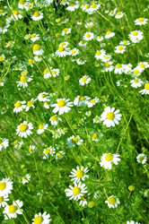 Similar image 662849