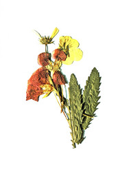 Similar image 662860