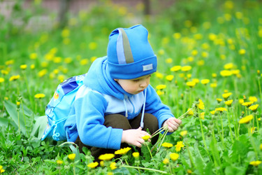 Similar image 662880