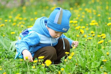 Similar image 662881