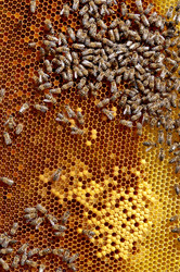 Similar image 662933