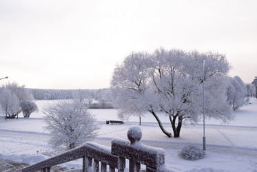 Similar image 663005