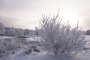 Similar image 663007