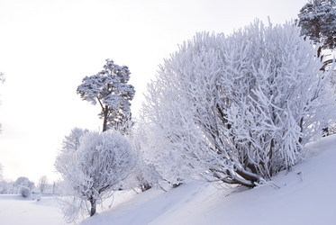 Similar image 663011