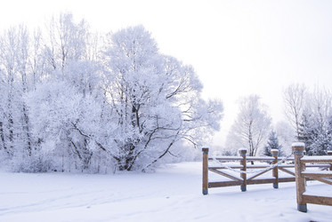 Similar image 663012