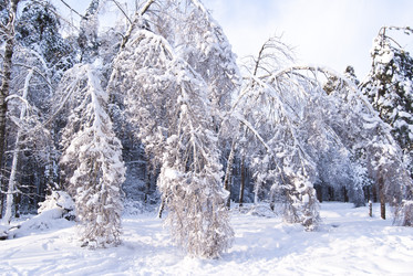 Similar image 663014