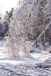 Similar image 663015