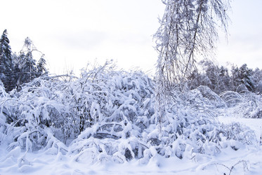 Similar image 663016