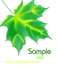 Similar image 663020