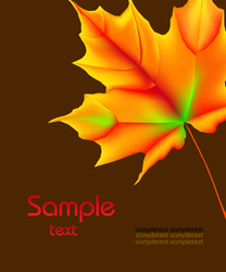 Similar image 663023