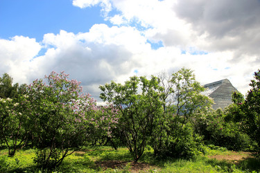 Similar image 663054