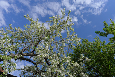 Similar image 663101