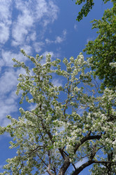 Similar image 663102