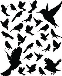 Similar image 663121