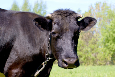 Similar image 663125