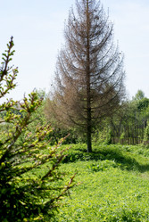 Similar image 663140