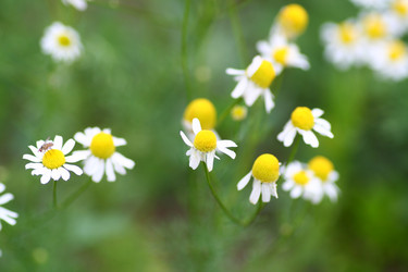 Similar image 663175