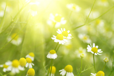 Similar image 663176