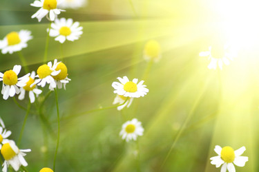 Similar image 663177