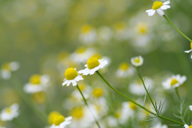 Similar image 663178