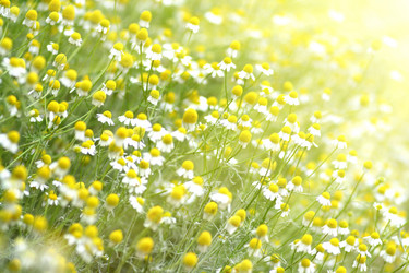 Similar image 663179