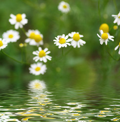 Similar image 663180