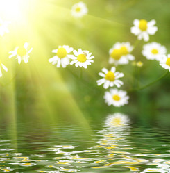 Similar image 663181