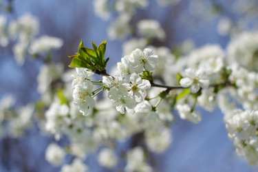 Similar image 663186