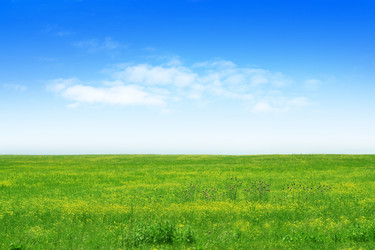 Similar image 663274