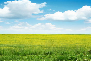 Similar image 663283