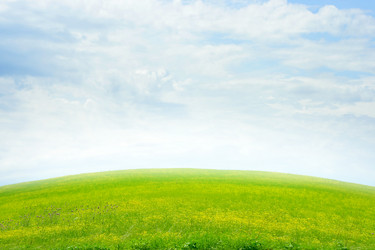 Similar image 663284