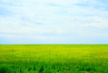 Similar image 663286