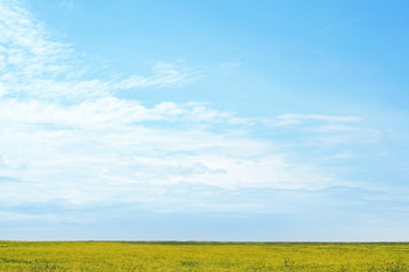 Similar image 663287