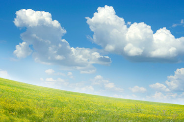 Similar image 663288