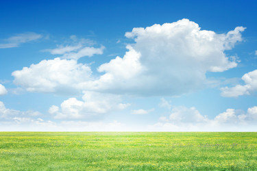 Similar image 663290