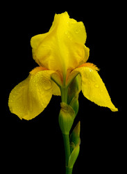 Similar image 663292