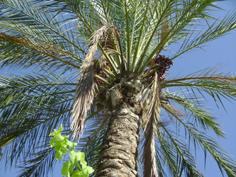 Similar image 663307