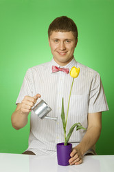 Similar image 663323