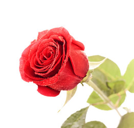 Similar image 663336